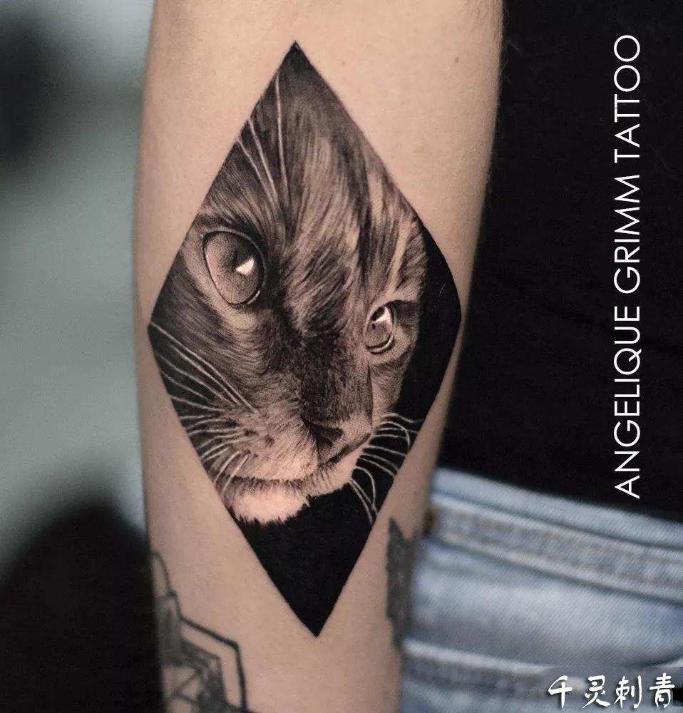 动物写实猫咪纹身