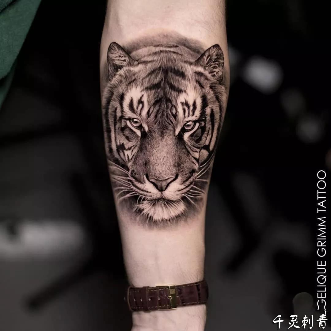 动物写实老虎纹身