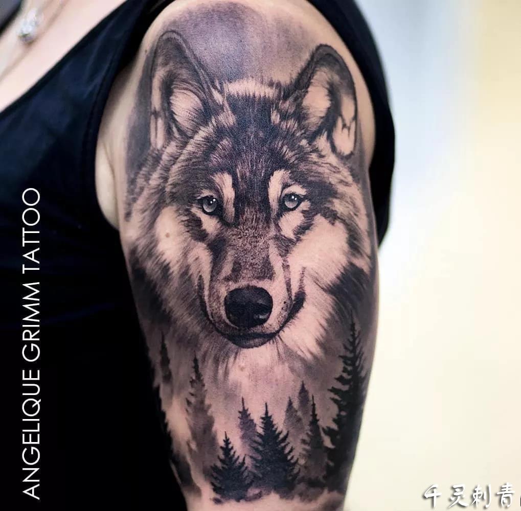 动物写实大臂狼纹身