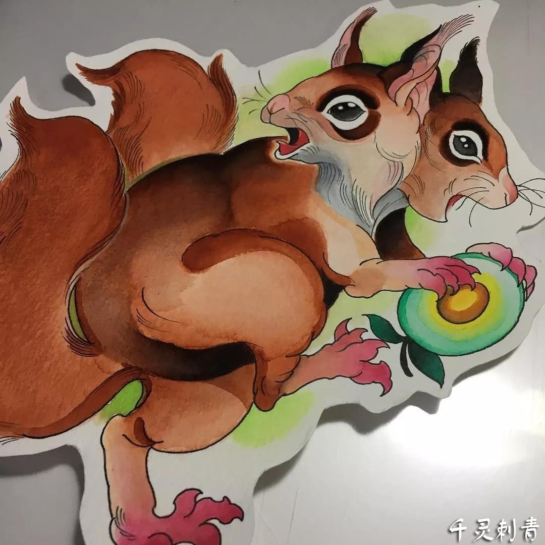 彩色松鼠纹身,彩色松鼠纹身手稿,彩色松鼠纹身手稿图案