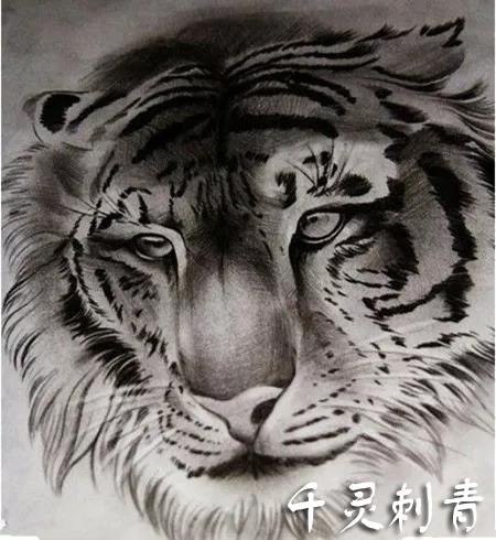 老虎头纹身手稿图案