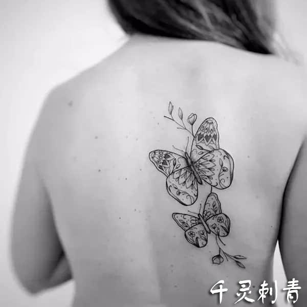 背部蝴蝶纹身手稿图案
