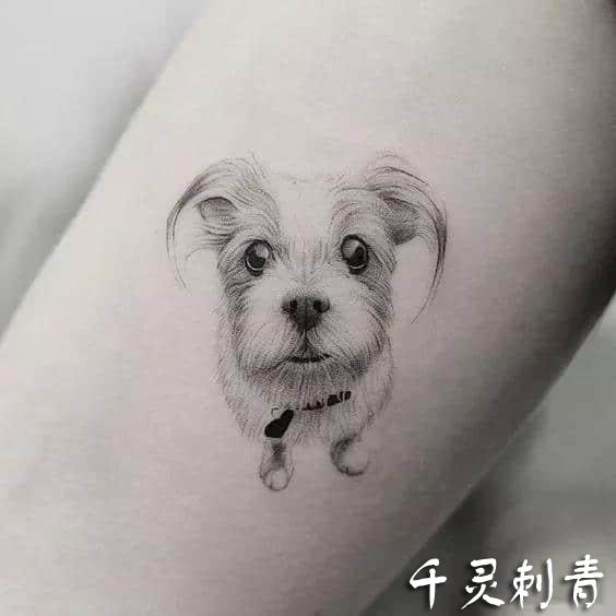 手臂小狗纹身手稿图案