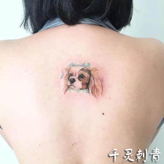 背部小狗纹身手稿图案