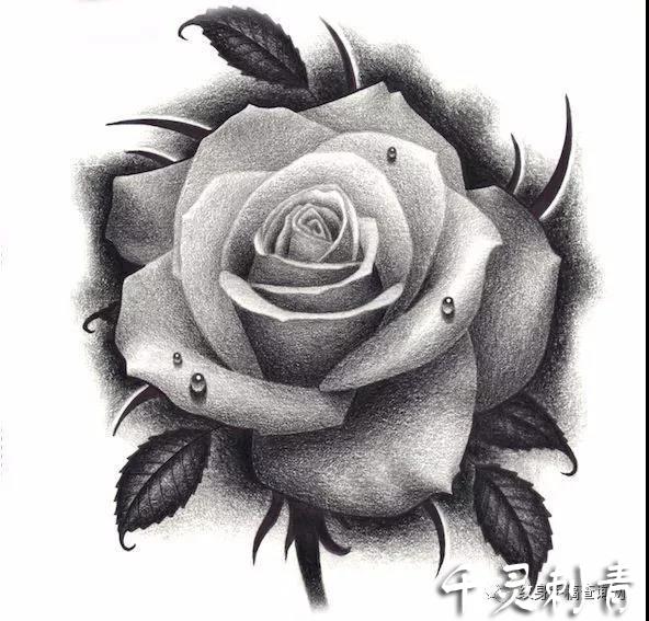 欧美黑灰写实玫瑰纹身手稿