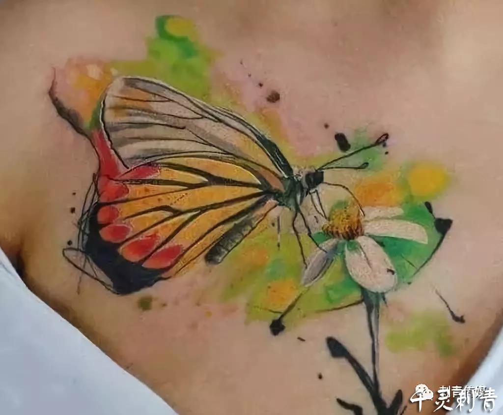 胸部水彩蝴蝶纹身手稿