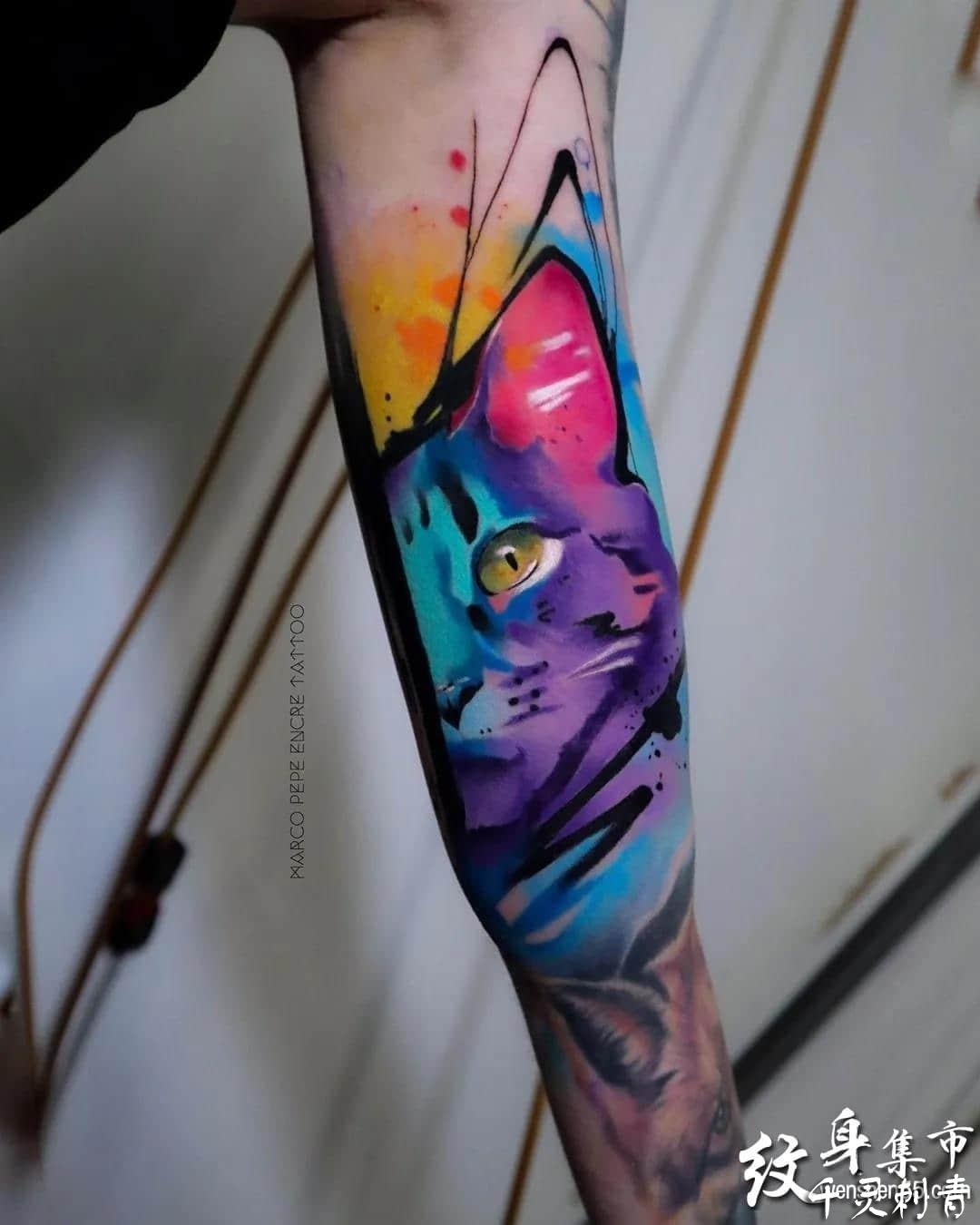 小臂水彩猫纹身手稿图案