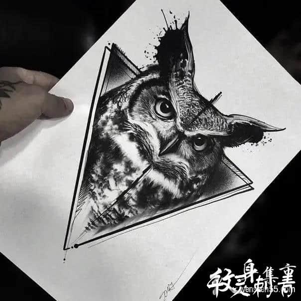 猫头鹰纹身手稿图案