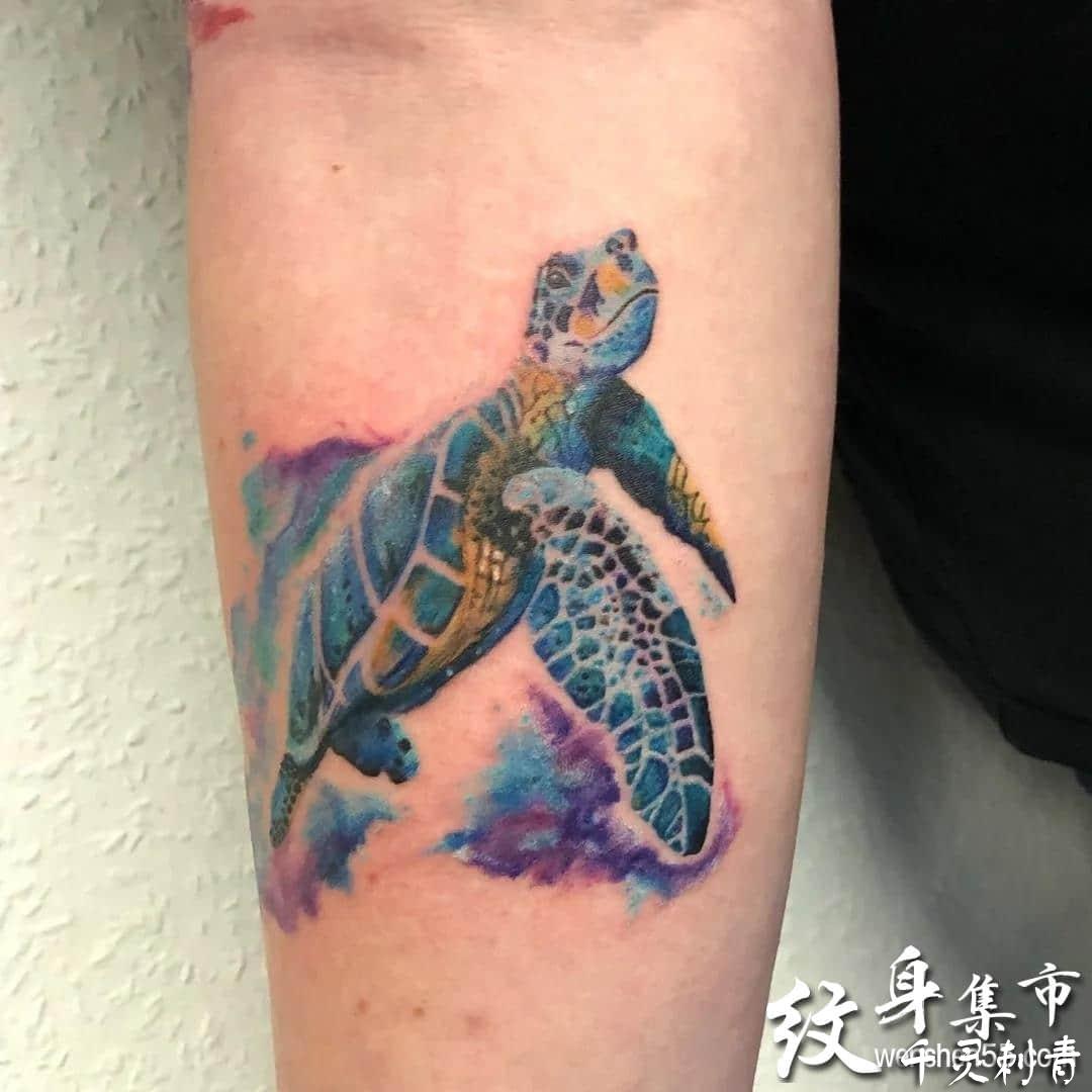 乌龟纹身手稿图案