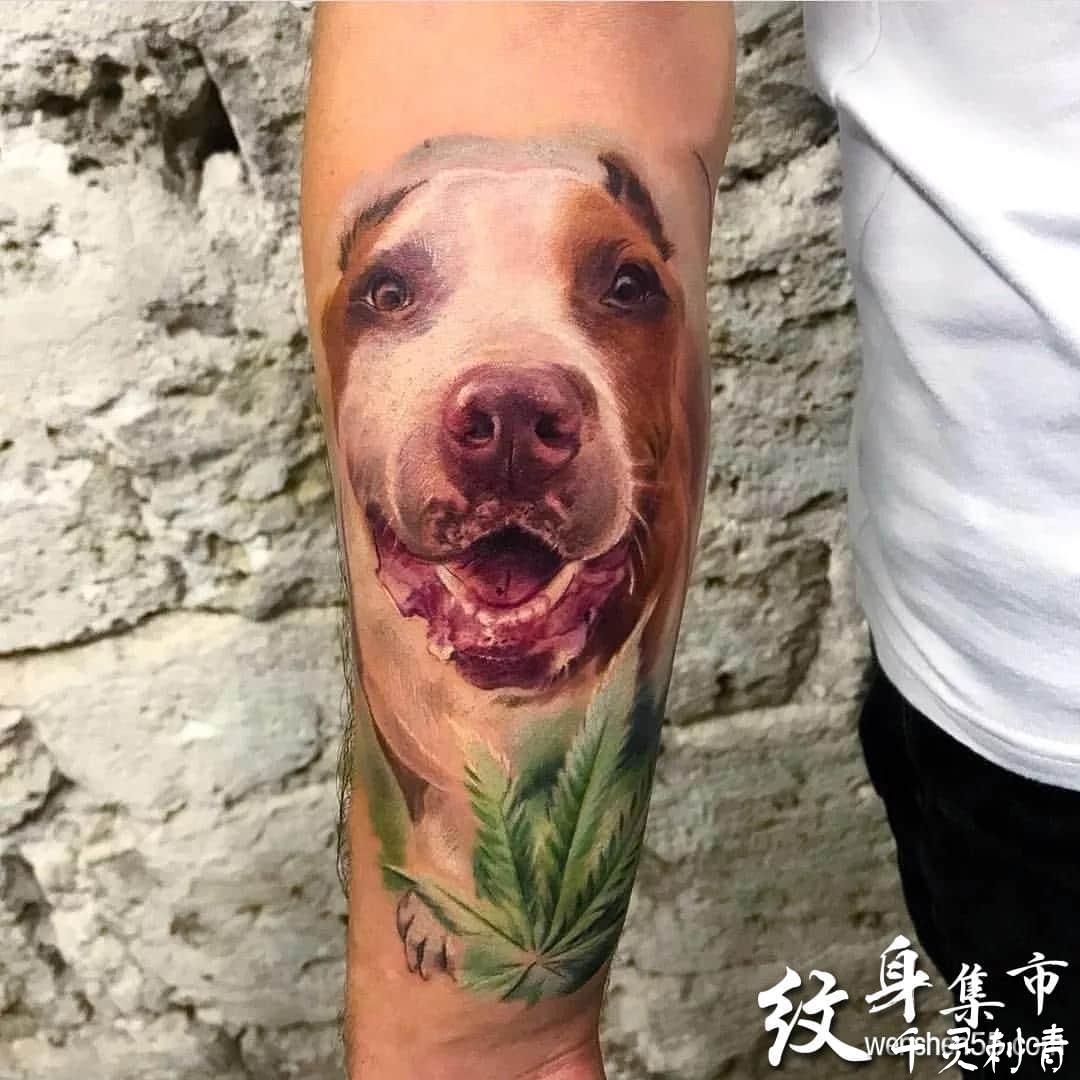 小狗纹身手稿图案